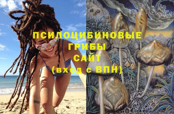 мдма Осинники